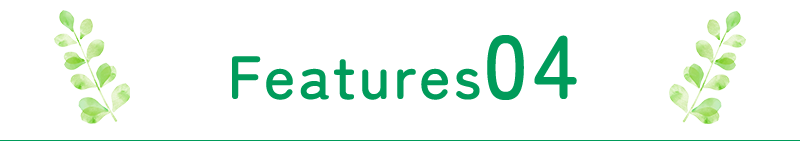 FEATURES04