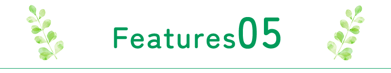 FEATURES05