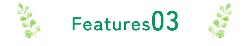 FEATURES03